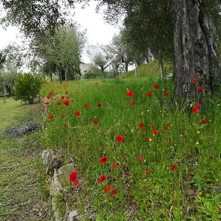 La Casa Di Celestino Apartman *